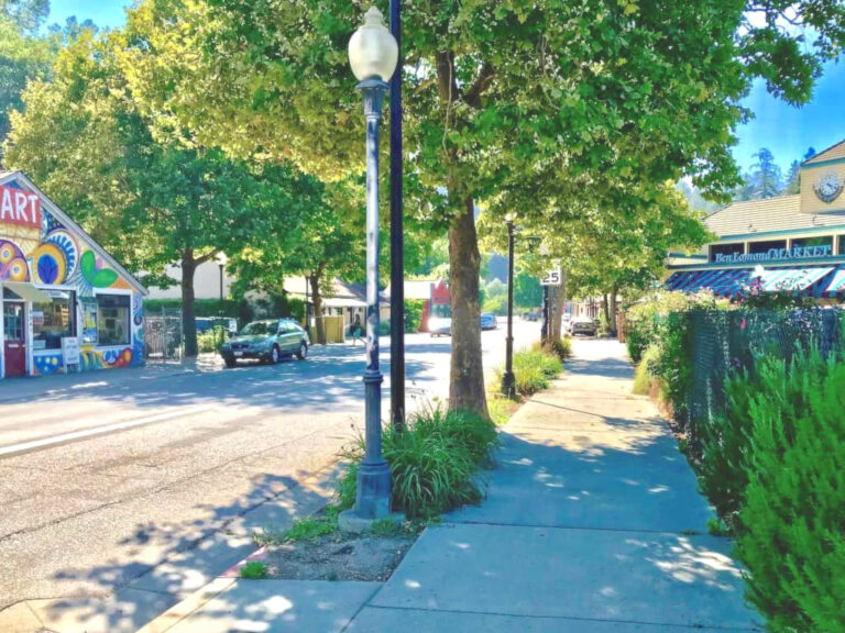 Newsletter – March 2025