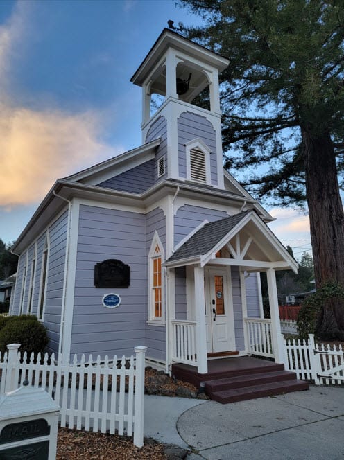 Newsletter – June 2025