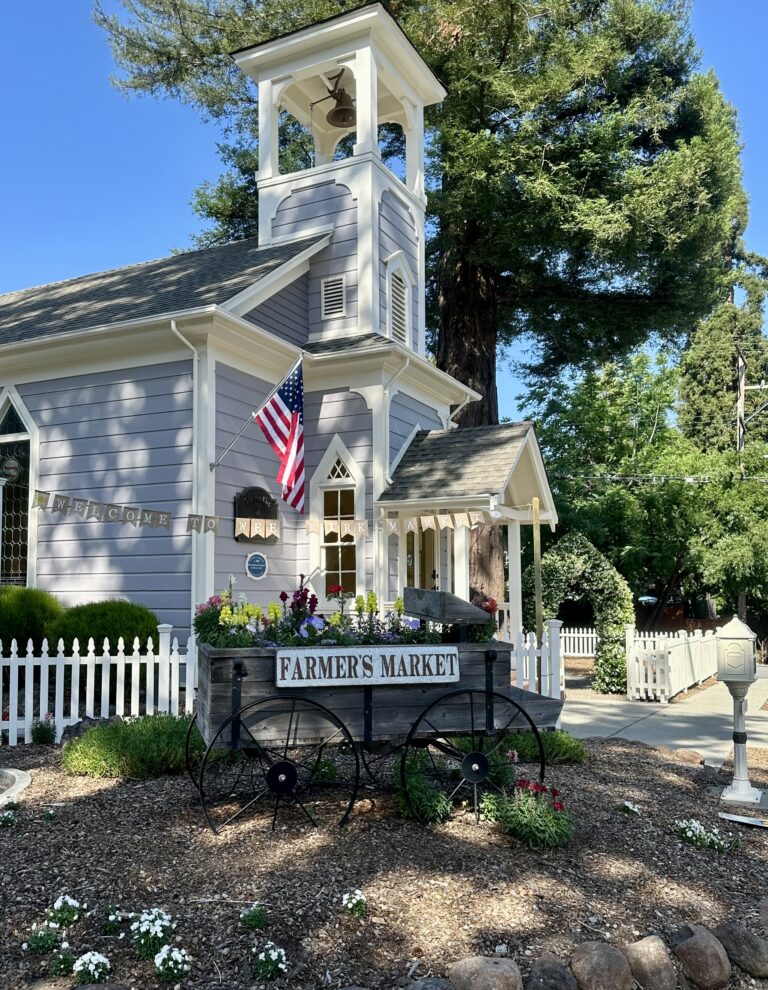 Newsletter – July 2025