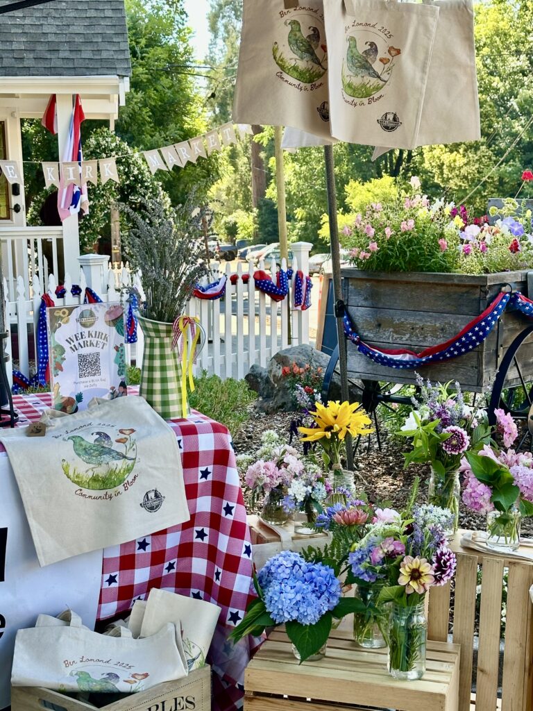 Newsletter – August 2025