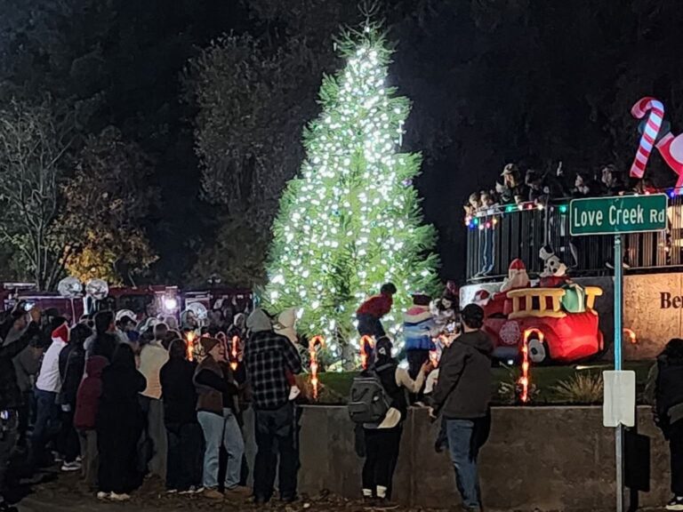 Newsletter – December 2025