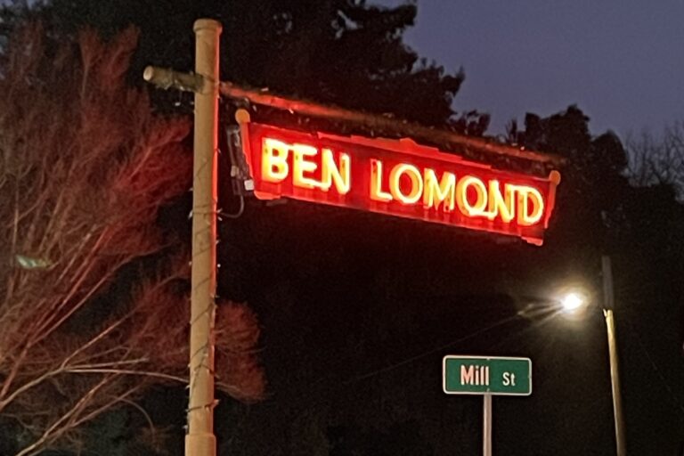 Newsletter – January 2026