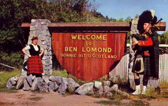 Newsletter – February 2026